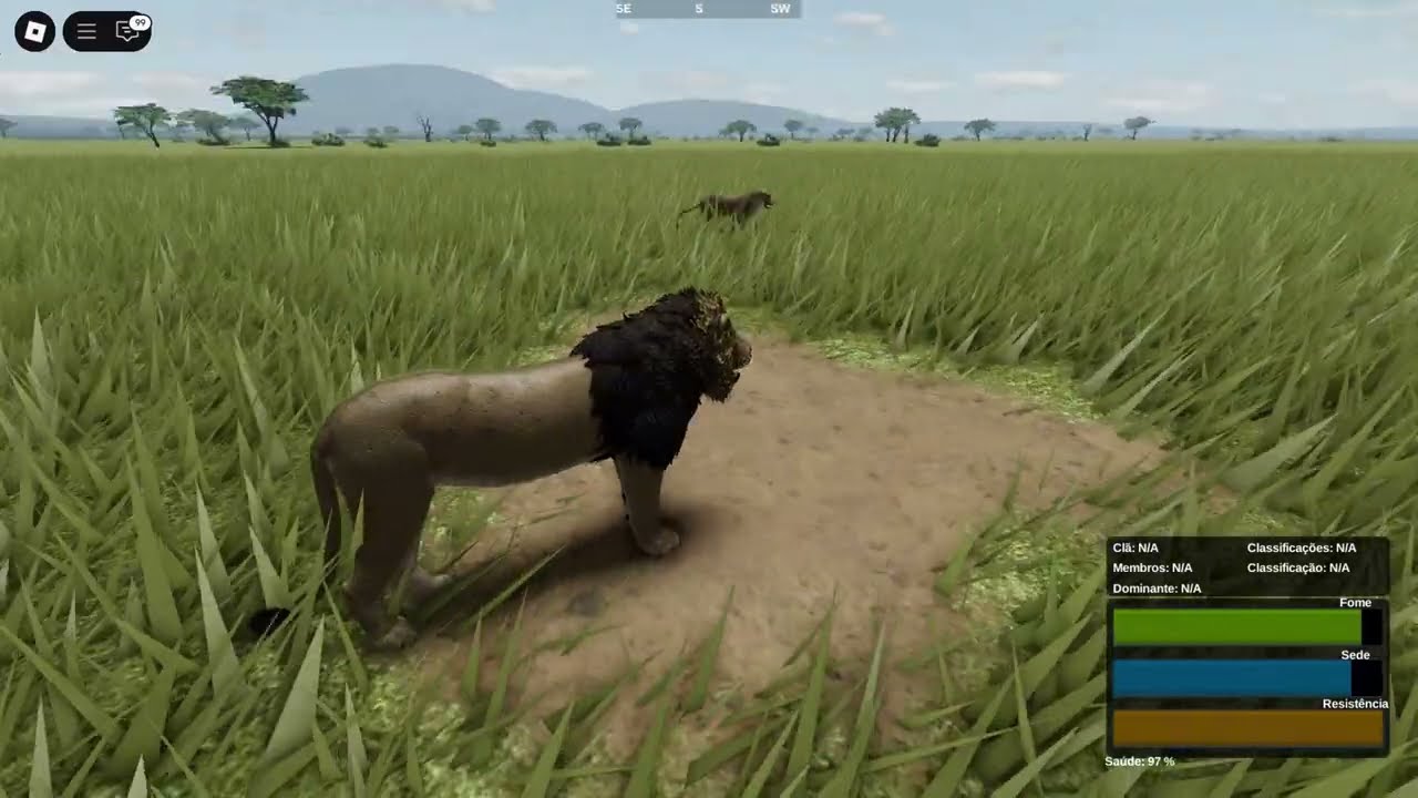 Vida de Leão Nômade no Wild Savannah