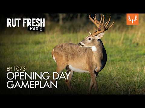 Acorns Are Changing Everything: Where Bucks Are Bedding Now | Rut Fresh Radio Ep. 1073