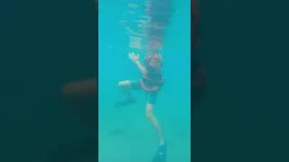 Let's DIVE Profile