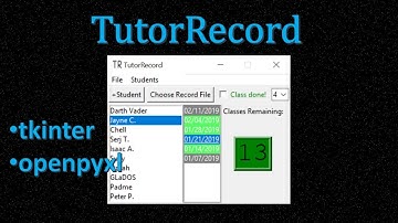 Simple Record Manager (tkinter and openpyxl)
