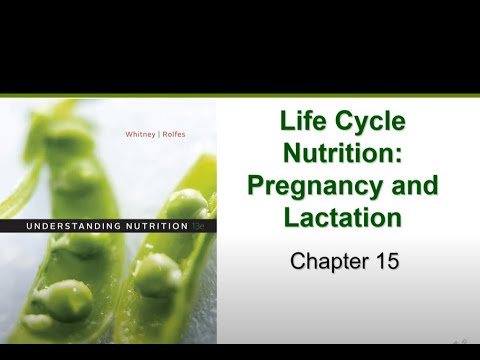 Pregnancy and Lactation (Chapter 15)