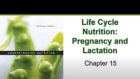 Pregnancy and Lactation (Chapter 15) - DayDayNews