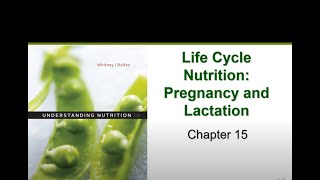 Pregnancy and Lactation (Chapter 15)