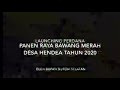 Launching Perdana Panen Raya Bawang Merah oleh Bupati Buton Selatan di Desa Hendea
