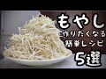知らないと損する【もやしの作り置き簡単レシピ5品】美味しくする2つのコツ 28円の幸せ