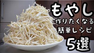 知らないと損する【もやしの作り置き簡単レシピ5品】美味しくする2つのコツ 28円の幸せ