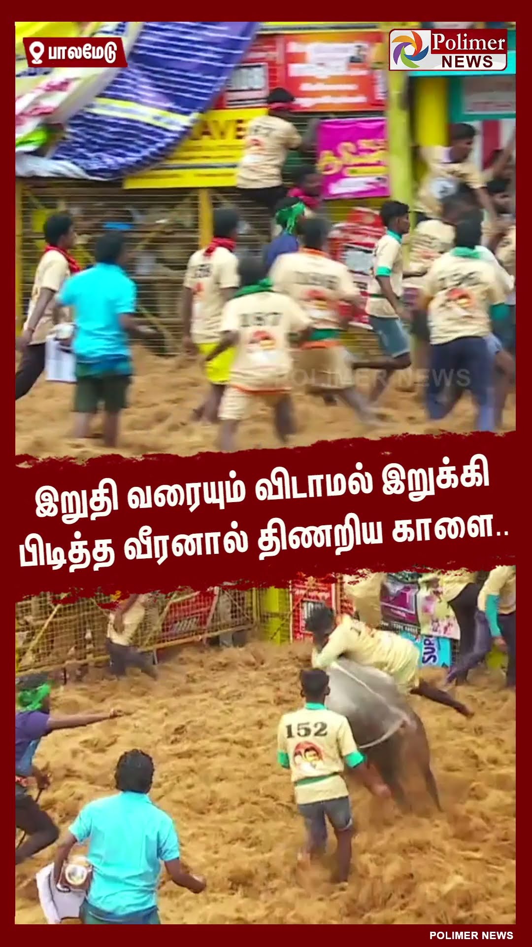 இறுதி வரையும் விடாமல் இறுக்கி பிடித்த வீரனால் திணறிய காளை.. #shorts | #palamedujallikattu