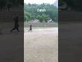 catch hai ya na#usa#cricket#automobile