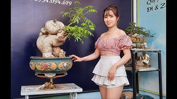 Bonsai Ứng | Giao lưu cùng ace cây cốc quái. Ace xin liên hệ 0934 094 679 Ứng. Xin cảm ơn !!!