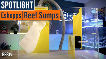 Simple & Functional Filtration for Saltwater Aquariums! - Eshopps 4th Gen Reef Sumps