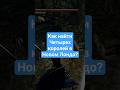 Как найти Четырёх королей в  #darksouls #remastered #ds #fromsoftware #rpg