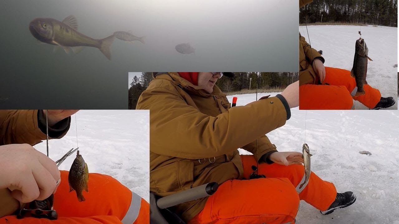 New members at the Hunters and anglers club..Some ice fishing today