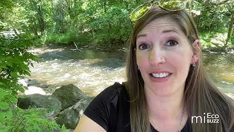 Buffers Part 1: What are Riparian Buffers?