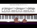 Miniature de la vidéo de la chanson Sonata For Piano No. 11 In B-Flat Major, Hob. Xvi:2: I. Moderato