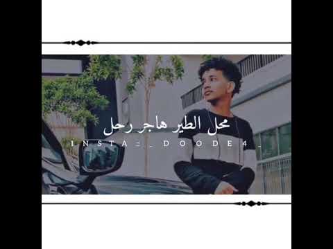 استناك انا في البحر مع الطير هاجر رحل 