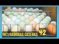 Incubadoras caseras efectivas