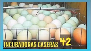 Incubadoras caseras efectivas