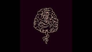 2000V? Hubba Hubba Old