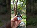 nail polish mini bottle painting 🎨🖌️#vairalvideo #vairalsong #art #painting #youtuber #youtubeshort