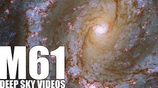 M61  Barred Spiral Galaxy  Deep Sky Videos
