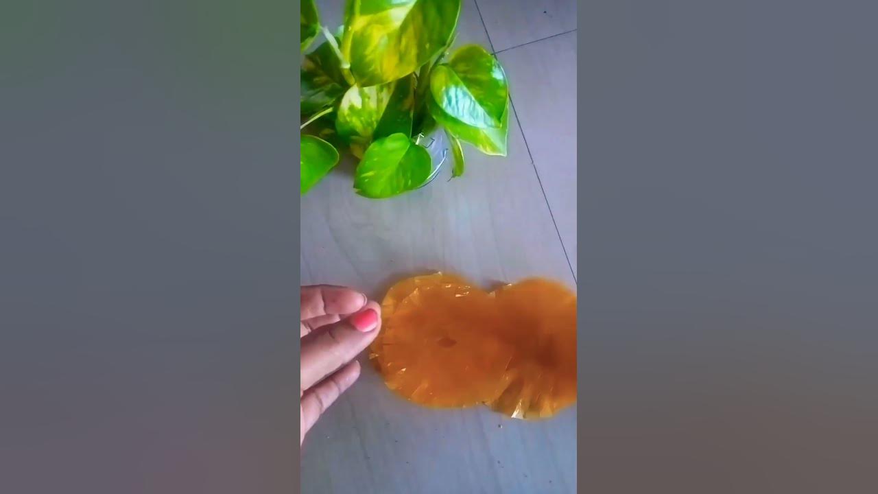 How To Make Plastic Flower craft shortvideo YouTube how-to-make-plastic-flower-craft-shortvideo-youtube