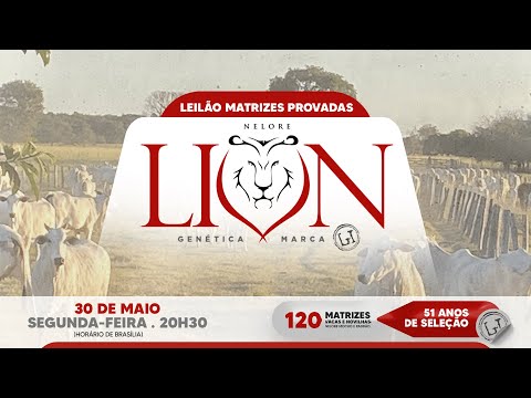 LOTE 05