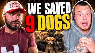 Saving 9 Dogs, a Gym Injury, & Olympia Predictions | Ep. 14 | Dumbbells & Doobies