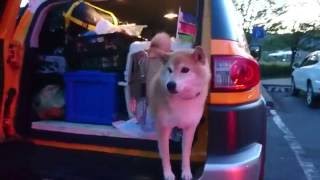 お花見キャンプin秋田＃１　移動編