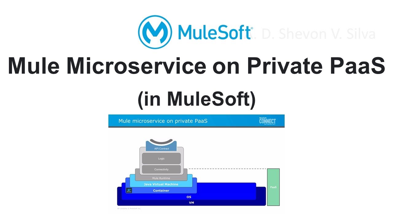 Mule Microservice on Private PaaS (in MuleSoft)