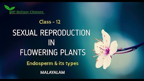 Class 12 | Sexual Reproduction in Flowering Plants | Endosperm & it