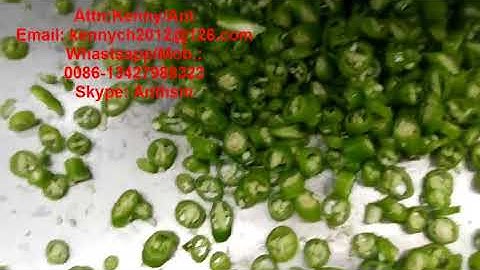 CH-20 for chili/ pepper cutting slicing machine, cutter slicer