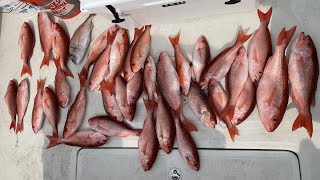 No Limit - Bottom Fishing - Offshore Charleston SC