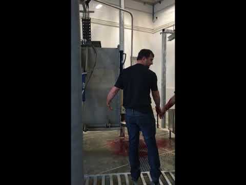 Бокс Халяль Halal