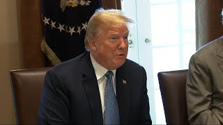 Trump: Travel Ban Ruling a 'Tremendous Victory'