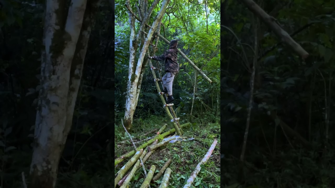 Built a treehouse with just vines & wood! Would you sleep here? 