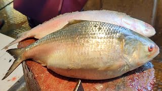 Delicious World Famous Hilsa Ilish Fish Cutting And Cleaning Skills In Bangladesh