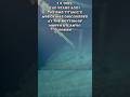 40th Anniversary since Titanic's wreck was discovered... #discovery #edit #1985 #shorts