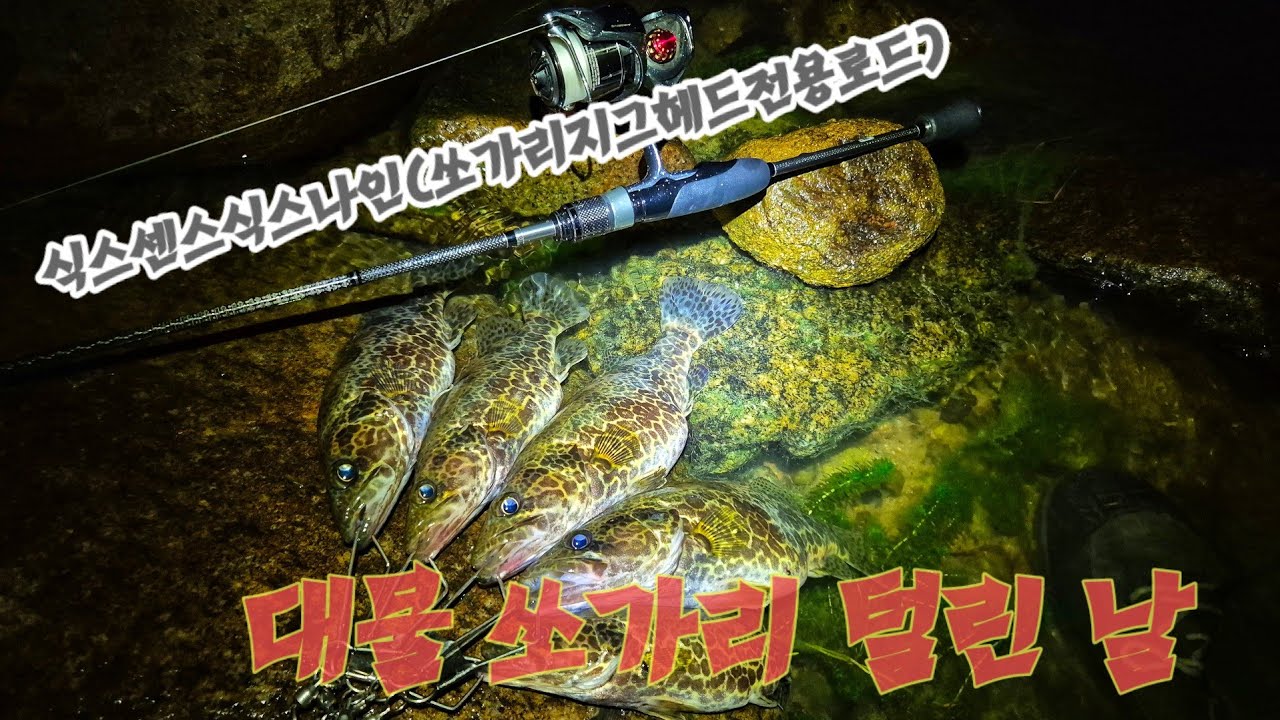 [쏘가리낚시] 금어기 해제 후 찾은 경호강에서....