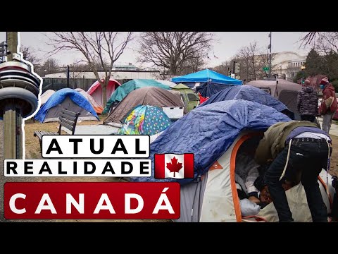 REALIDADE NO CANADÁ | EP 9/10 | Zarillo Neto