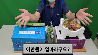 하나로마트 내곡점 하나로마트 데이 특가품 소개