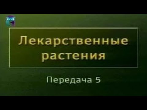 Видео: Что из следующего является скелетом алкалоидов хинного дерева?