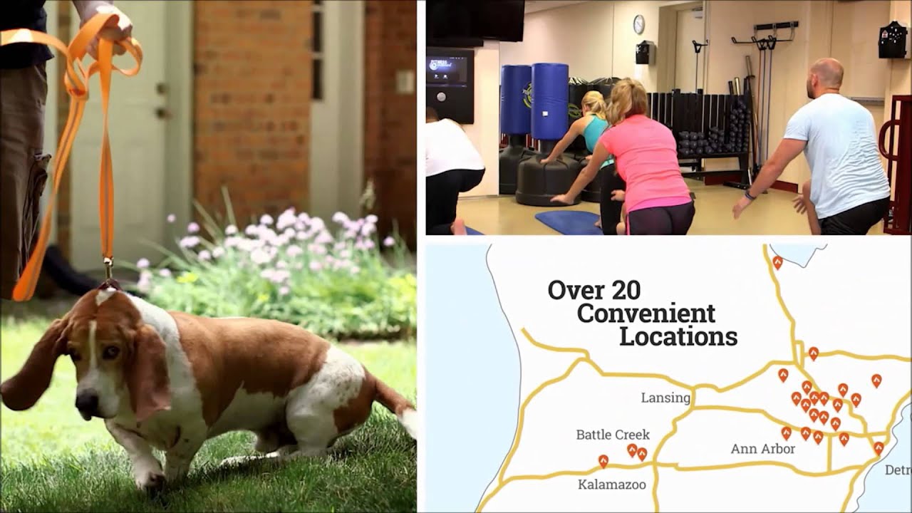 Rent Hayman - The Apartment For You