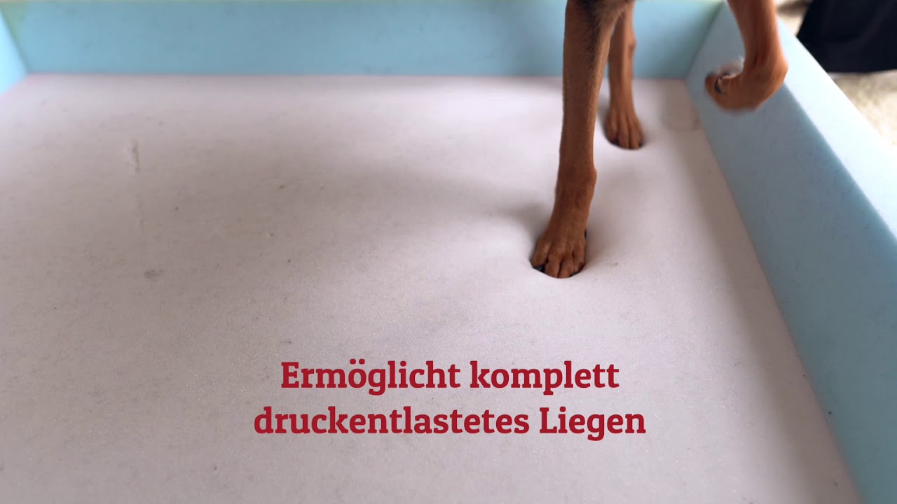 applaws trockenfutter für katzen Applaws Trockenfutter für ausgewachsene Katzen – Huhn mit extra Ente, –  ZuZu.land main image 1