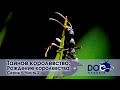 Тайное королевство - Серия 1. Рождение королевства. Часть 2 -  Документальный фильм