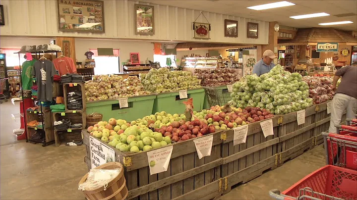 Fall Means It’s Apple Season Across North Georgia