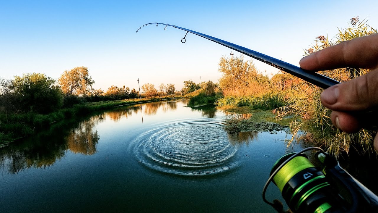 CUM SĂ PRINZI PRIMA DATĂ LA ULTRALIGHT ?! - PESCUIT LA BIBAN