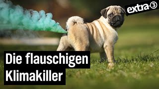 Tierisch Umstritten Haustiere Und Umwelt Extra 3 Ndr