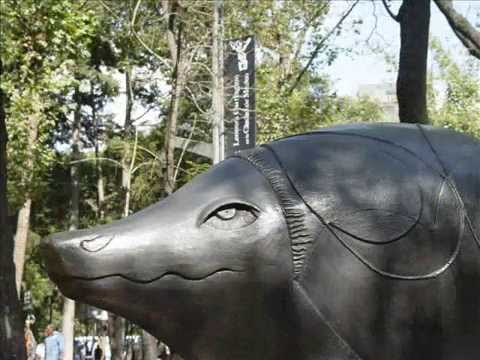 Leonora Carrington Exposicin Urbana en la Ciudad d...
