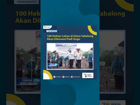 100 Hektar Lahan