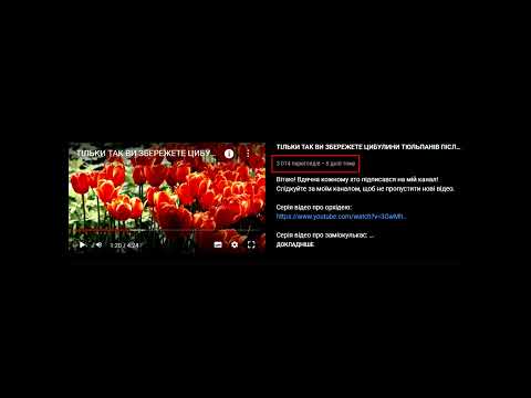 РЕКОРД/ДЯКУЮ ЗА ВАШУ АКТИВНІСТЬ! #subtitles #thebest #ukrainian #субтитры #перегляди #просмотры